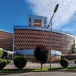 Institutional Partnership